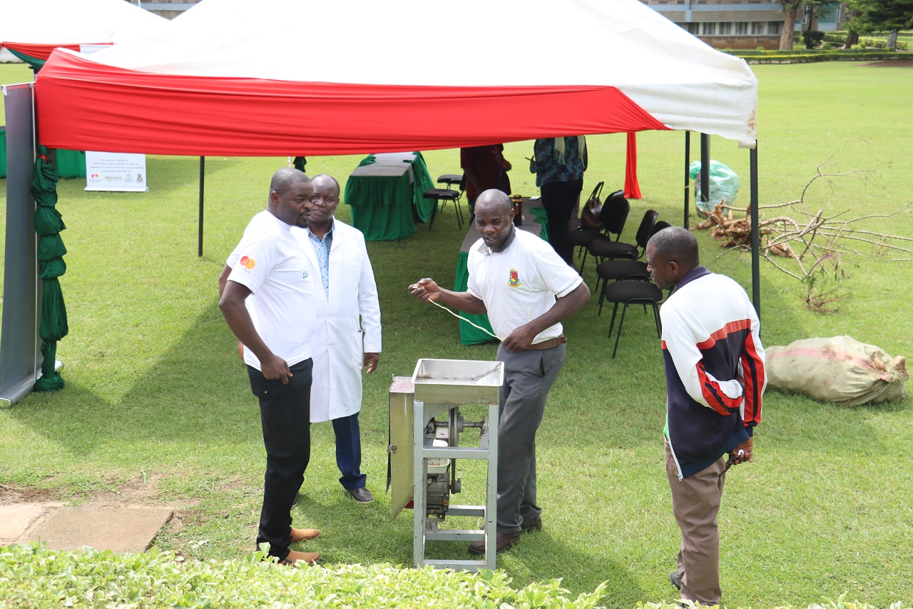 Cassava Cook Festival Sparks Innovation and Sustainability in Nakuru Region