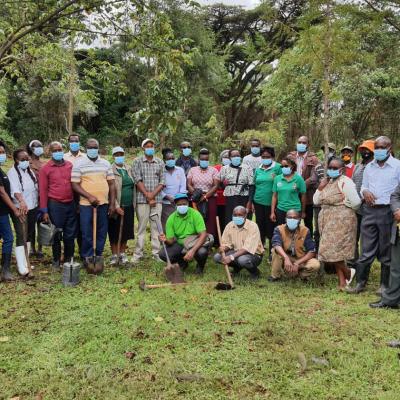 Tree Planting Day