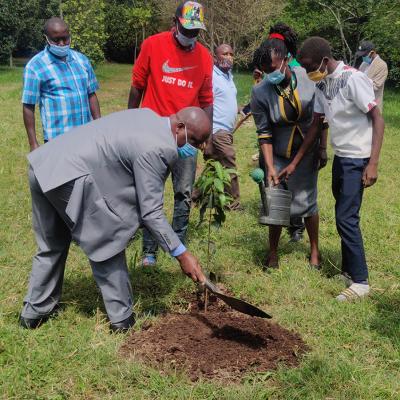 Tree Planting Events